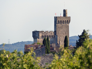 Réparation dégât des eaux Villeneuve-le-Roi